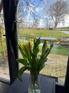 a vase of flowers sitting on a table in front of a window at Hotelhuisjes Oosterleek in Oosterleek