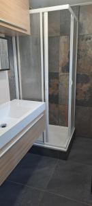 a bathroom with a shower and a white sink at Comfortable Chalet in Berkhout +18 photos