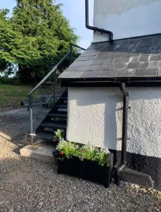 a house with a pot of flowers next to a staircase at Corner Lodge in North Tawton +10 photos