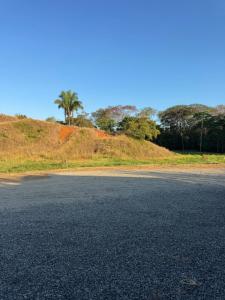 an empty road with a palm tree on a hill at Apartamentos el Bosque in Jacó
