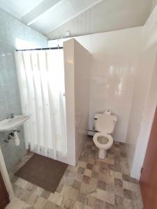 a bathroom with a toilet and a sink at Mage B&B 1 in Roseau