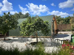 a small green house with a tree in a yard at Casa Leandro glamping wooden tiny house in Lachi