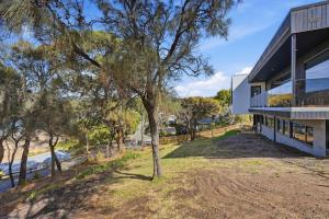 an image of a house with a tree in front of it at Modern Beachside Studio in Kingston Beach