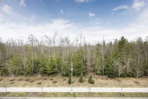 eine leere Straße mitten in einem Wald in der Unterkunft Lake Simcoe Stays - Friday Harbour's Official Rental Program - Aspen Suite in Innisfil
