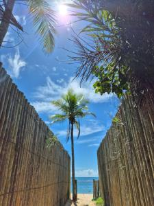 ein Zaun und eine Palme am Strand in der Unterkunft Mini Casa com Jacuzzi e Piscina in Trancoso + 45 Fotos