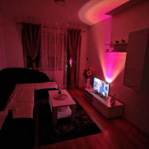 a living room with a couch and a tv at Apartman Zivkovic in Bosanska Dubica