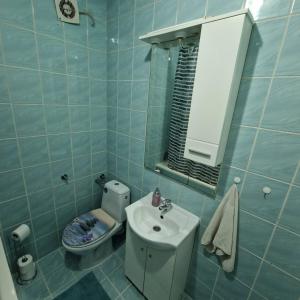 a blue tiled bathroom with a toilet and a sink at Apartman Zivkovic in Bosanska Dubica +8 photos