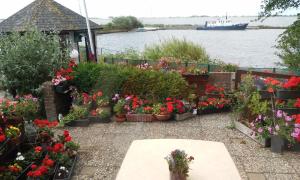 a garden with flowers and a boat in the water at Amstelmeer Kamer in Westerland