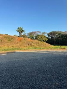 an empty road with a palm tree on a hill at Estancia tranquila y cómoda in Jacó