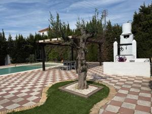 a tree in a courtyard next to a pool at Villa El Carmen in Sanlúcar la Mayor