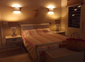 a bedroom with a bed with two night stands and two lamps at Chamallow Nature Lodge in Grande Case Noyale