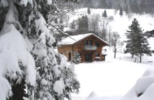 une cabane en rondins dans la neige avec un arbre dans l'établissement Chalet Elisa, à Le Valtin