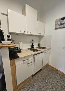 a small kitchen with white cabinets and a sink at ANKU's in Krems an der Donau