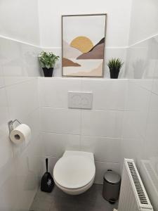 a bathroom with a toilet and a picture on a shelf at ANKU's in Krems an der Donau +1 photo