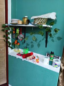 a blue wall with a shelf with plants on it at Cocoa Cabana in Scarborough