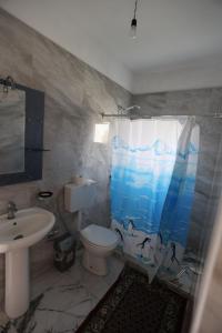 a bathroom with a sink and a toilet and a shower curtain at Elbasan Backpacker Hostel in Elbasan