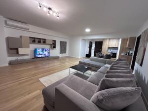 a living room with couches and a tv and a couch at 365 Apartments in Bucharest in Bucharest