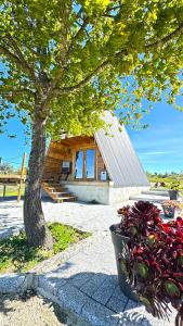 a wooden cabin with a tree and a flower pot at Chalé da Cumieira Nova in Seia