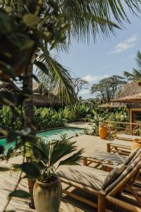 a resort with a palm tree and a swimming pool at Pousada Topázio by Amana in Fernando de Noronha