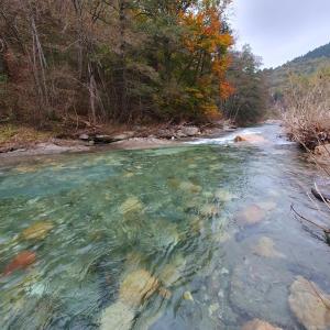 a river with clear water and trees in the background at Gîte à Florac "Les Rêves Bleus" in La Salle-Prunet +7 photos