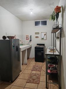 kuchnia ze stalową lodówką i blatem w obiekcie Apartment 2 w mieście Santa María Tonantzintla