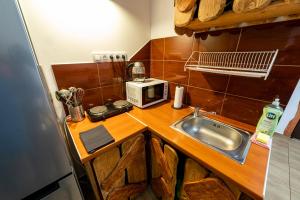a small kitchen with a sink and a microwave at Agroturystyka Gościniec Ethoria in Łomnica +23 photos