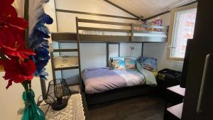 a bedroom with bunk beds in a house at Chalet Chez Nous Castellane in Castellane