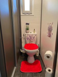 a bathroom with a toilet with a red seat at Chalet Chez Nous Castellane in Castellane +17 photos