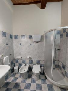 a bathroom with a toilet and a shower and a sink at Affittacamere Caliani in Buonconvento