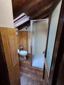 a bathroom with a toilet and a glass door at Casa tra i boschi in Esino Lario