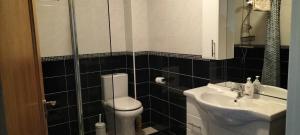 a bathroom with a toilet and a sink at Roseville in Limerick +11 photos