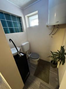 a small bathroom with a toilet and a window at Minimalist luxury room in Zgornje Hoče