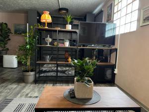 a living room with a tv and a table with plants at Minimalist luxury room in Zgornje Hoče