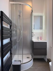 a bathroom with a shower and a sink at Smart Business Studio in Itzehoe +16 photos