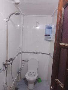 a small bathroom with a toilet and a shower at Premium Services in Tatta