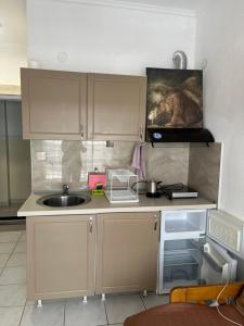 a small kitchen with a sink and a counter at Megalou Alexandrou in Nea Moudania
