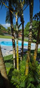 a group of palm trees next to a swimming pool at Pousada Elshadai in Uruçuca