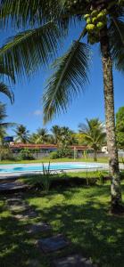 a palm tree next to a swimming pool at Pousada Elshadai in Uruçuca