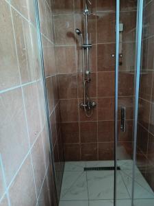 a shower with a glass door in a bathroom at Studio apartmani AHUS in Petrovac na Moru +26 photos