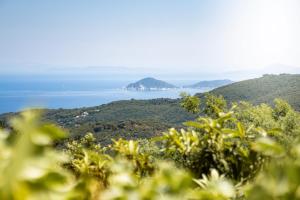 a view of the ocean from the top of a hill at Domu de Zita in Poggio