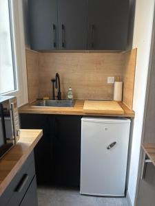 a kitchen with a white refrigerator and a sink at Studio Quai Claude Bernard in Grenoble