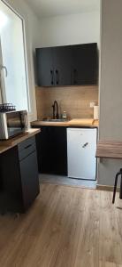 a kitchen with a sink and a white refrigerator at Studio Quai Claude Bernard in Grenoble