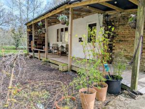 a house with potted plants in front of it at Woodside Studio in Hassocks