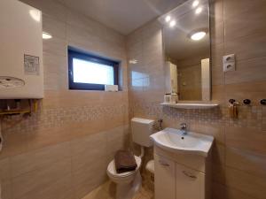a bathroom with a sink and a toilet and a mirror at Balaton Breeze Retreat in Balatonfüred +12 photos