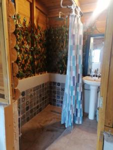a bathroom with a shower curtain and a sink at Cabaña Alpina Saltillo in Saltillo