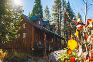 a tree house in the woods with the sun in the background at Campfire Ranch All-Inclusive Lodge in Truckee