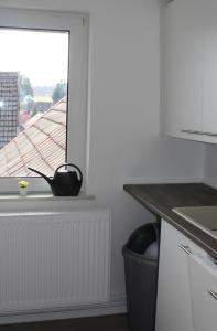 a kitchen with a window and a trash can at Fewo HARZ Benneckenstein in Benneckenstein
