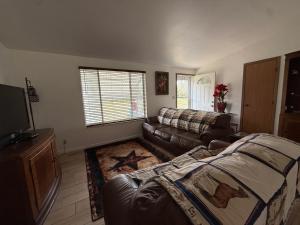 a living room with a couch and a television at Safehaven in Avon Park