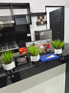 a kitchen with two potted plants on a counter at Tu refugio en el corazon de David in David