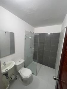 a bathroom with a shower and a toilet and a sink at AMAREA Hotel Boutique in Tolú